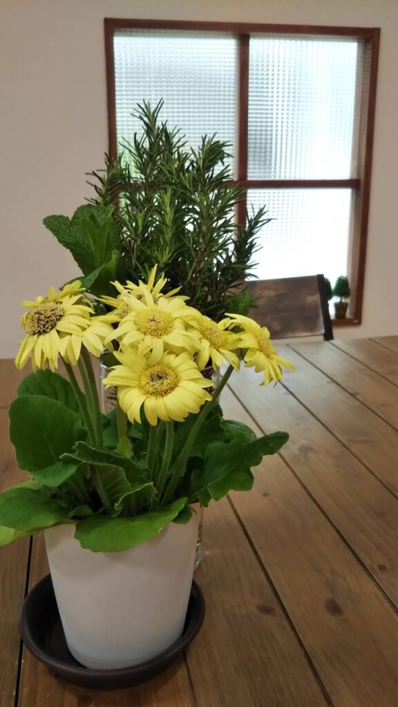 居場所の花の画像