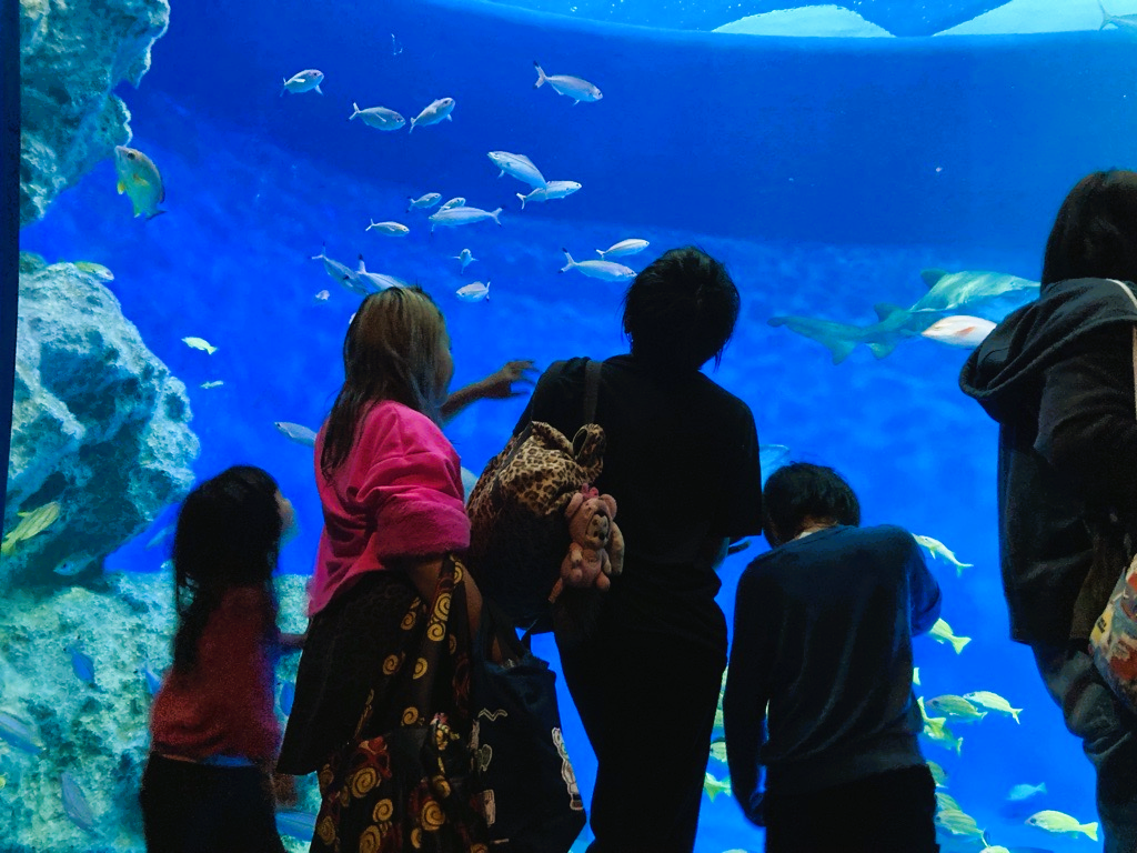 11/15 須磨シーワールドに行ってきました